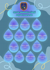 Geyve Anadolu Lisesi'nden YKS Gururu