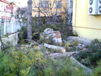 P.T.T.Yanındaki Çam'lar Kesildi