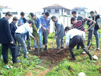 Geyve Lisesinden fidan dikimi