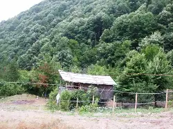 Kontrolsüz kesim yapılmıyor