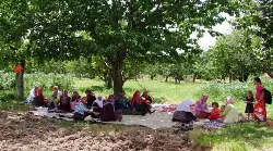 Piknik keyfi