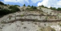 Erozyonla mücadele sürüyor