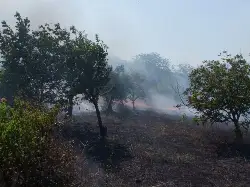 Yangın büyümeden söndürüldü