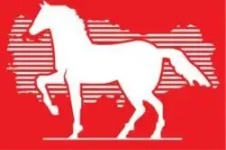 DP Genel Başkanı Geyve'ye geliyor