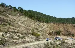 Kızılçam fidanları dikiliyor…