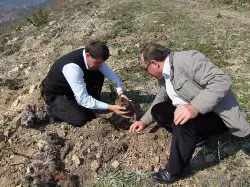 Yangın yerlerine fidan dikiliyor