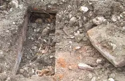 Orman Deposunda Roma Mezarı bulundu