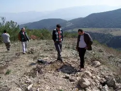 Yangın yerlerine fidan dikiliyor