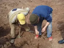 Rüya, Mezar Taşıttı