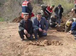 Rüya, Mezar Taşıttı