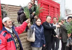 Orman İşletme Müdürlüğü Fidan Dağıttı