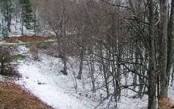 Ormanlarda kar devam ediyor