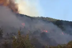 Ciğerlerimiz Yanıyor!