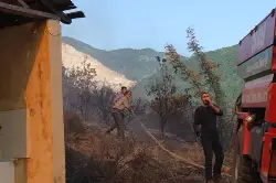 Ciğerlerimiz Yanıyor!