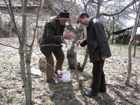Baharla Birlikte Bahçelerin Bakımı Hızlandı