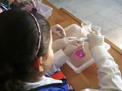 Geyve Doğantepe YİBO'da Projeler