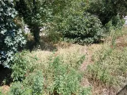 Geyve Boğazı’nda Tarihi Temel ve Burç Kalıntısı