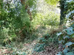 Geyve Boğazı’nda Tarihi Temel ve Burç Kalıntısı