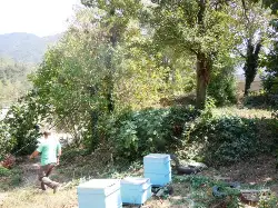 Geyve Boğazı’nda Tarihi Temel ve Burç Kalıntısı
