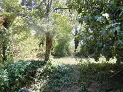 Geyve Boğazı’nda Tarihi Temel ve Burç Kalıntısı