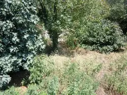 Geyve Boğazı’nda Tarihi Temel ve Burç Kalıntısı