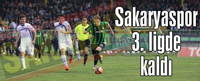Sakaryaspor 3. ligde kaldı