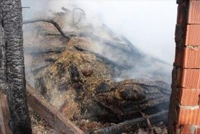 Pamukova'da Yangın Hayvanlar telef oldu