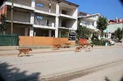 Başıboş Köpekler Vatandaşı Korkutuyor