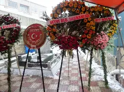 Ali Fuat Cebesoy Paşa Anıldı