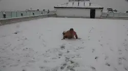 Üşümeyen Efsane Adam'dan Kar Şov!