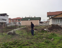 Geyve Belediyesi'nden larva ve uçkun mücadelesi