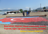 Türkiye ve Bayrak Resmi
