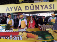 Ayva Festivali Başladı