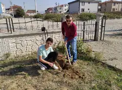11 milyon fidan dikimi