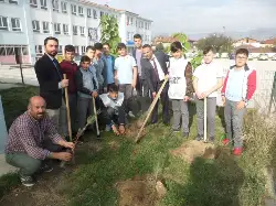 11 milyon fidan dikimi