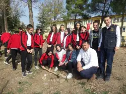 11 milyon fidan dikimi