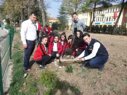11 milyon fidan dikimi