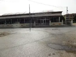 SESSİZ GEYVE'den FOTOĞRAFLAR