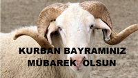 BAYRAMINIZ MÜBAREK OLSUN