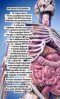 İNSAN VÜCUDU ŞAHESERDİR