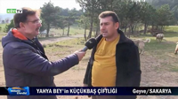 YAHYA'nın ÇİFTLİĞİ BU AKŞAM SAAT 22.50'de KÖY TV'de YAYINLANACAK