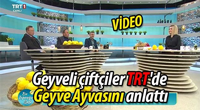 GEYVE AYVA'SI TRT'de TANITILDI