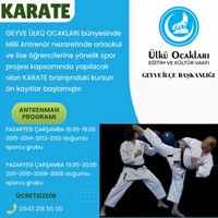 Geyve Ülkü Ocakları'ndan Gençlere Ücretsiz Karate Kursu