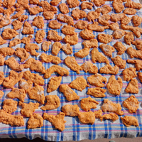 GEYVELİLER TARHANA YAPIYOR