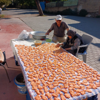 Geyveliler Geleneksel Tarhana Hazırlığına Başladı