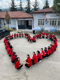 Geyveli Öğrenciler Kalp Oldu