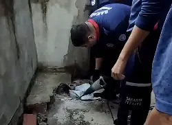 Geyve'de Yavru Kedi Kurtarıldı
