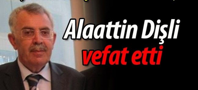 GEYVE'de ÖĞRETMEN CAMİASINDA YAPRAK DÖKÜMÜ