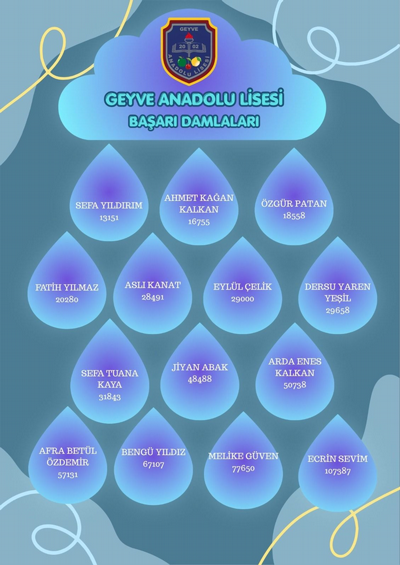 Geyve Anadolu Lisesi'nden YKS Gururu
